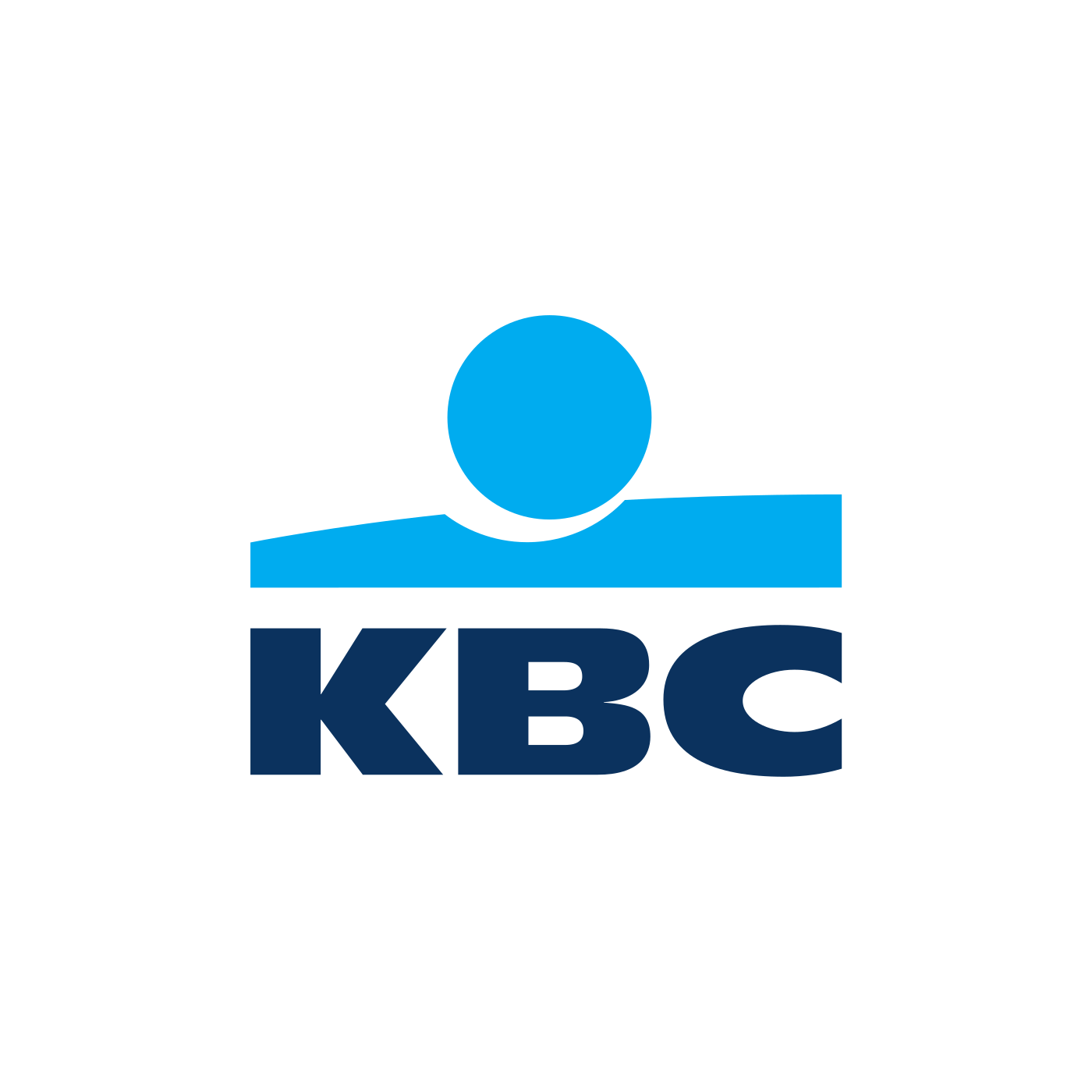KBC Borana Service